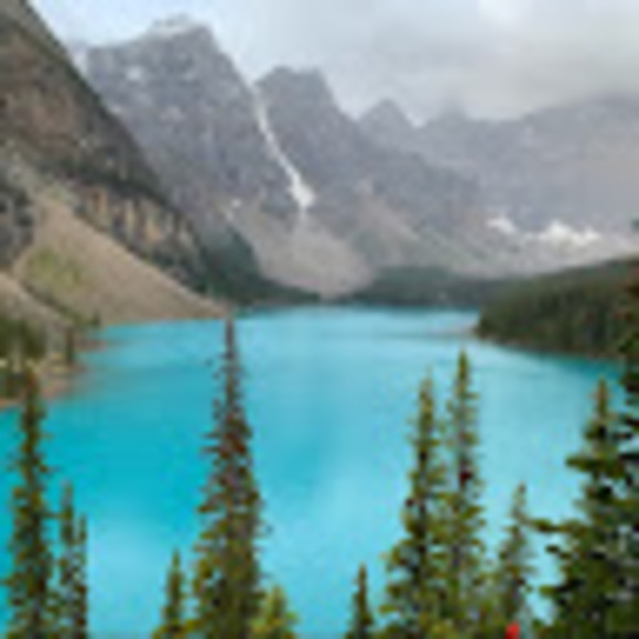 Meet your Posher, Elaine - Picture 1 of 1